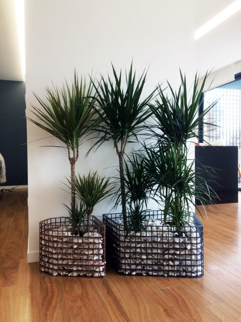 Maison Objet 2019 Trends – Rana Salam design choices